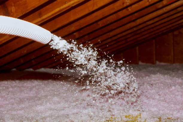 Best Eco-Friendly Insulation in Morada, CA